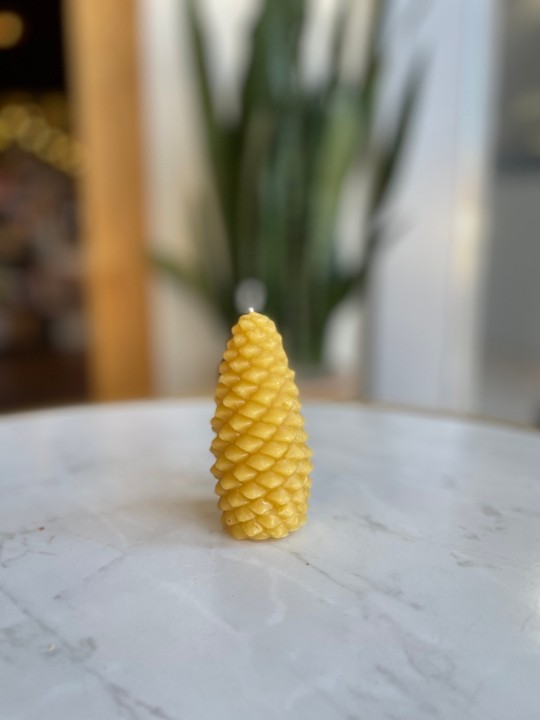 Amazing Grace Honey Beeswax Candle 'PineCone'