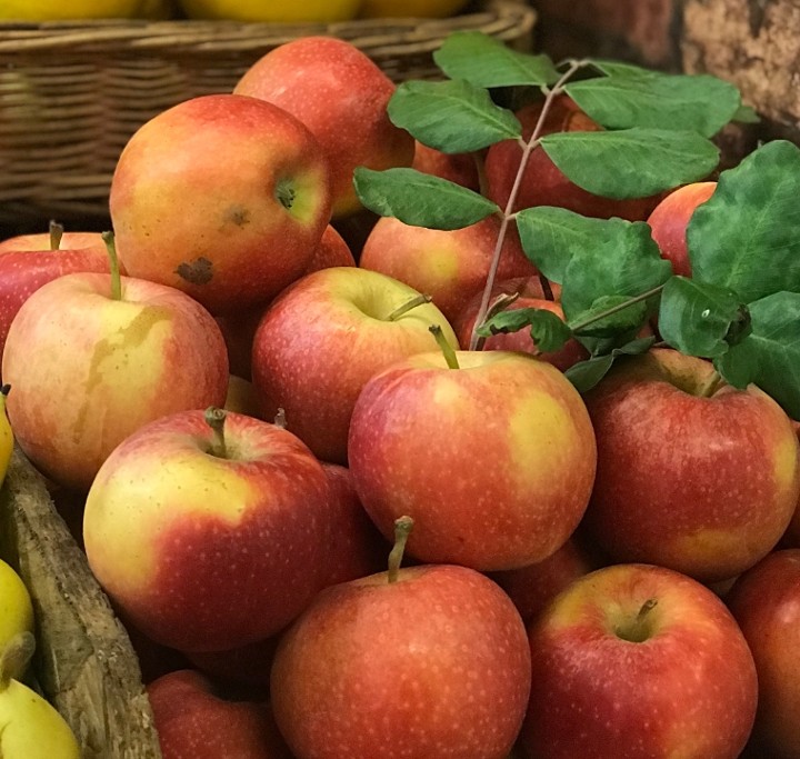 apple cider & spiced rum punch