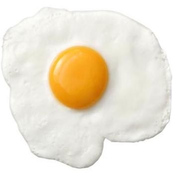 Egg  (1)