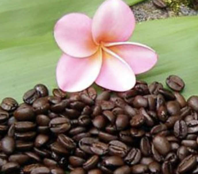 Hawai'i Coffee