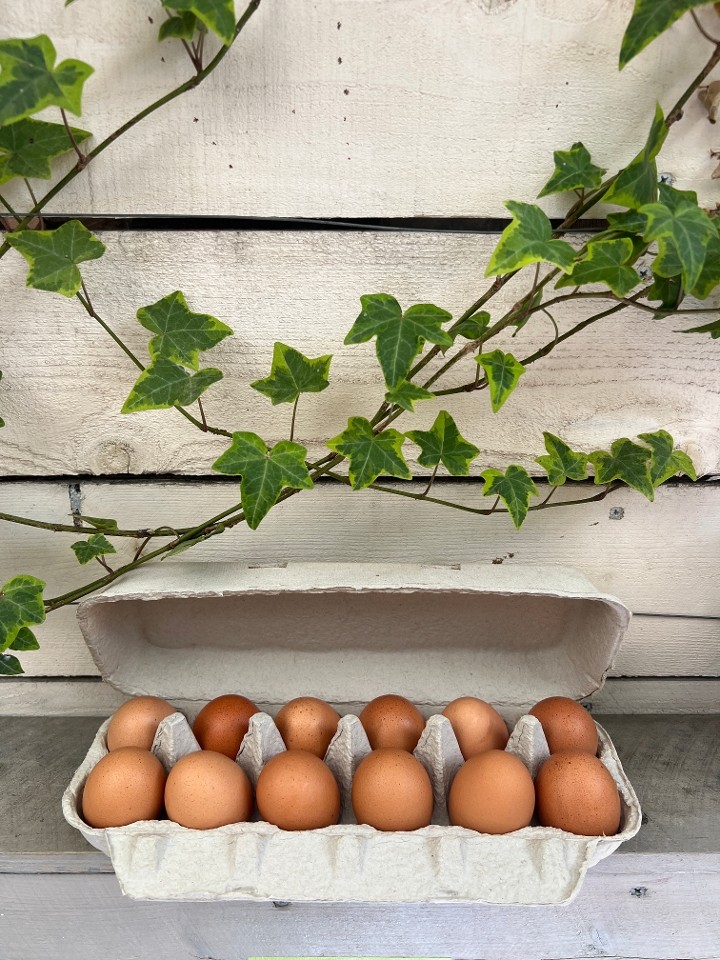 Farm Eggs - Dozen