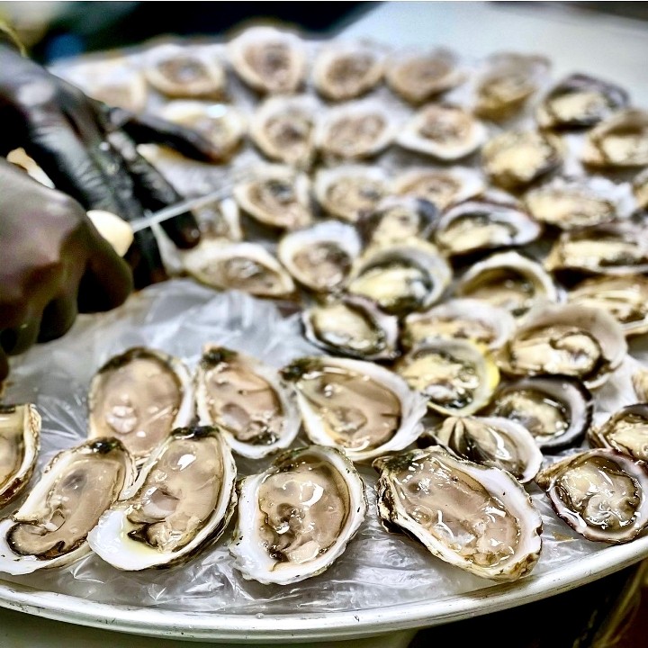 OYSTERS  (SIX)