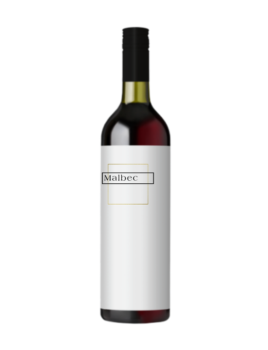 Astica Malbec Bottle