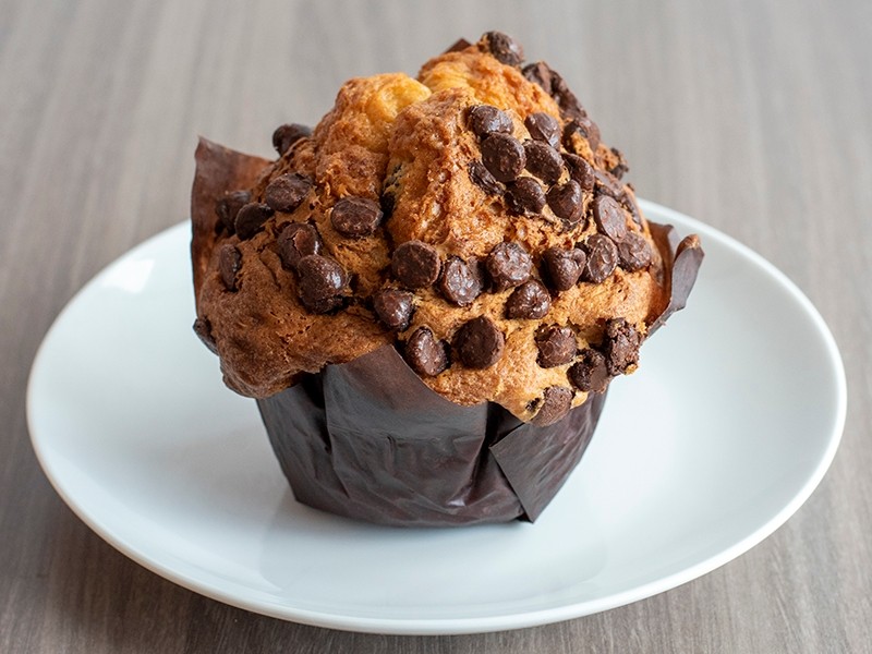 Chocolate chip muffin