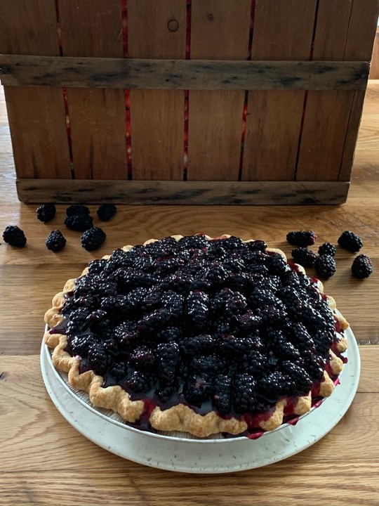 Blackberry cream cheese pie