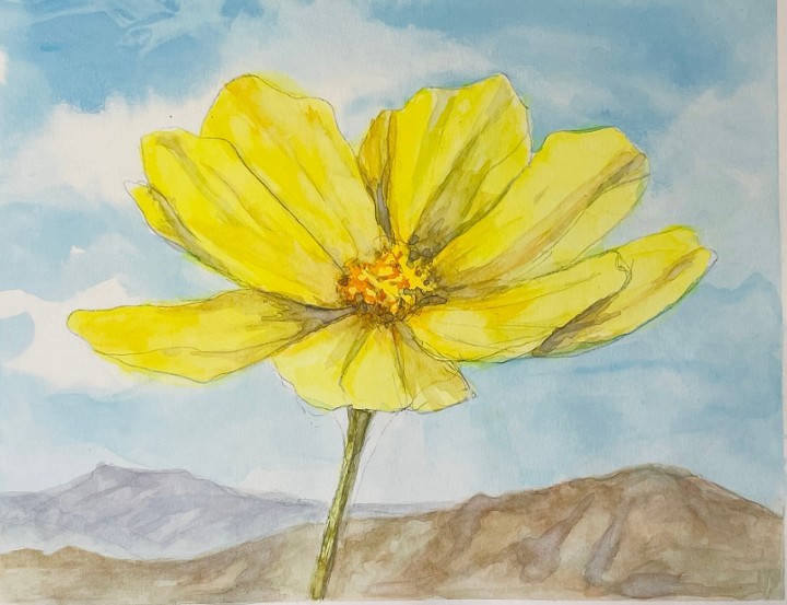 4/11 Mohave Spring Watercolor with KJ