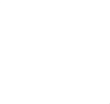 Beach & Brew Venice