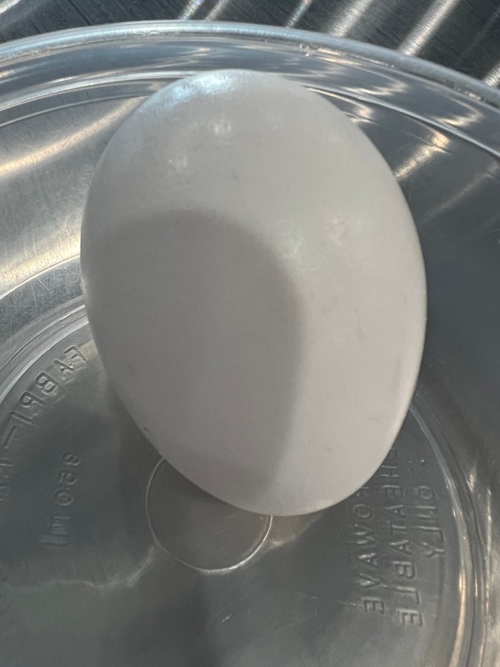 1 Hard Boiled Egg