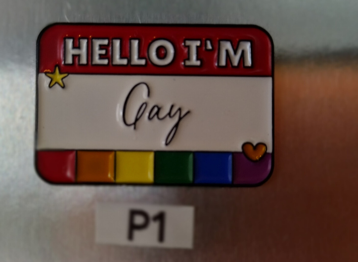 P1 - GAY HELLO I'M
