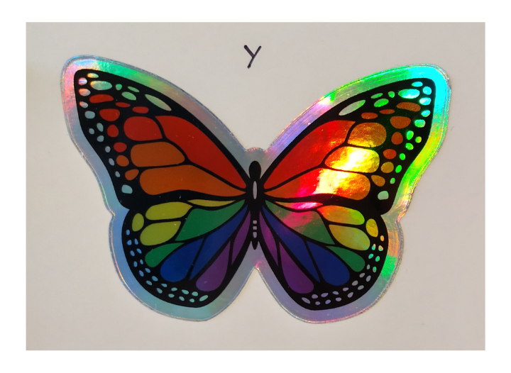 S1 - RAINBOW BUTTERFLY STICKER