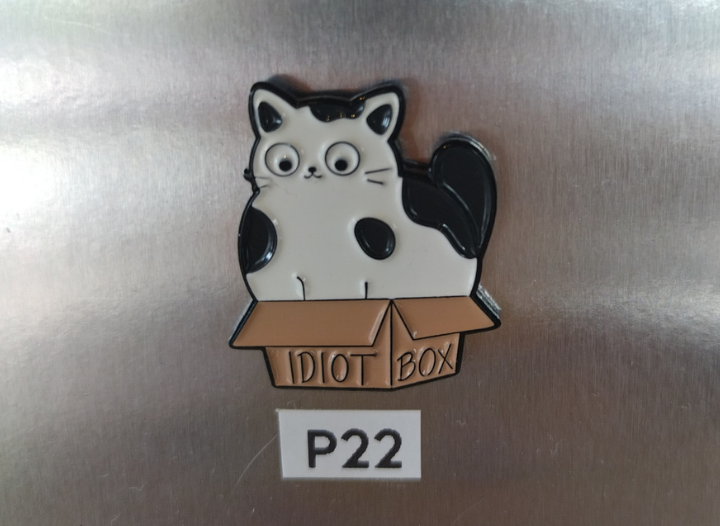 P22 - CAT IN BOX