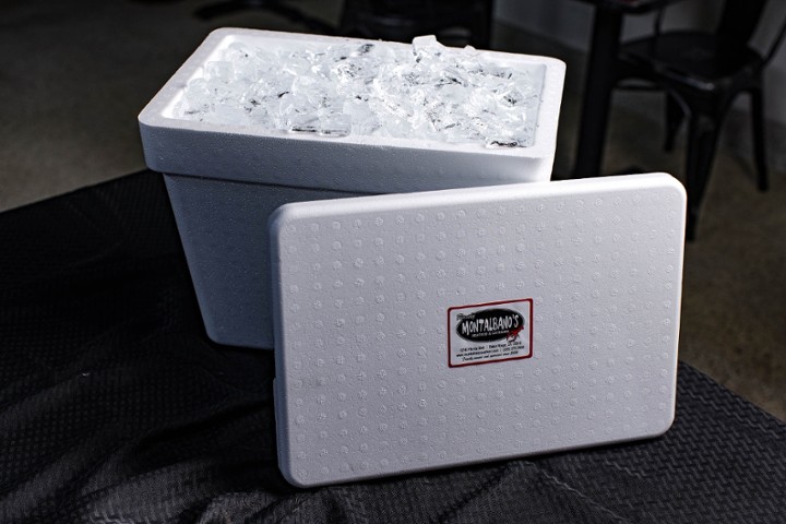 Disposable Ice Chest with Ice