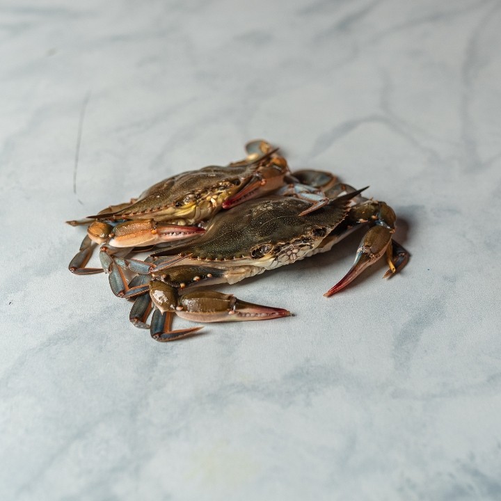 Live Soft Shell Crab (1 piece)