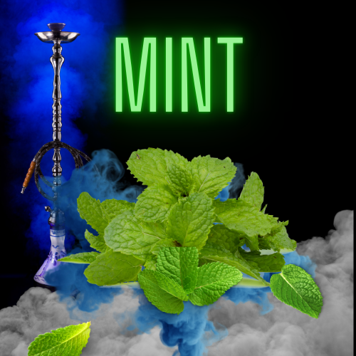 Mint - CBD
