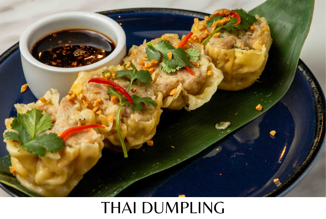 Thai Dumplings (4 pcs)
