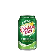 Canada Dry Can