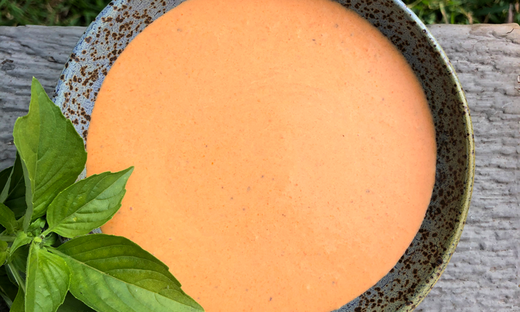 Cup of tomato basil soup