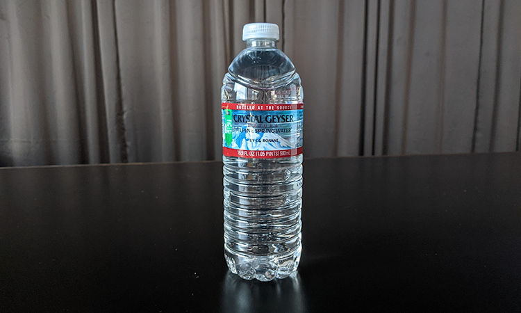 Water Bottle (500 mL)