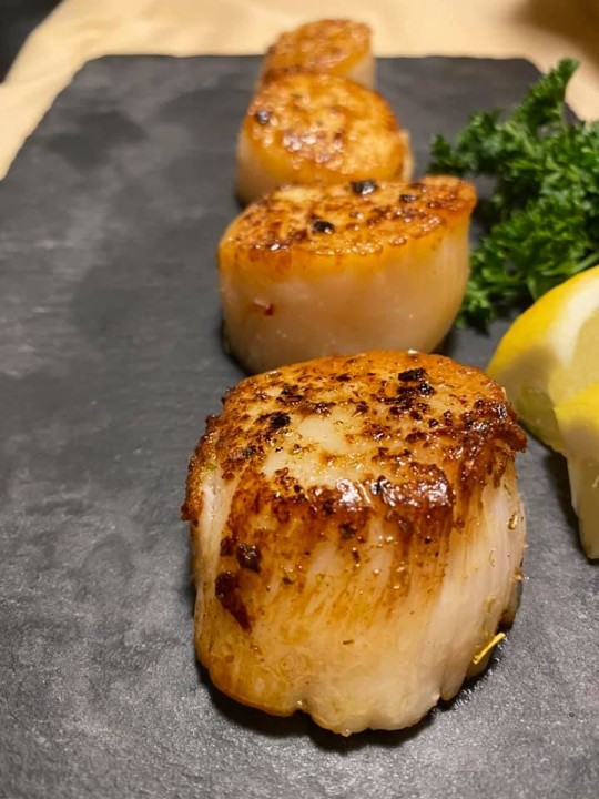 Fresh Scallops