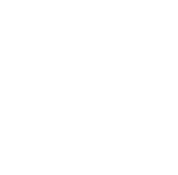 The Pub & The People