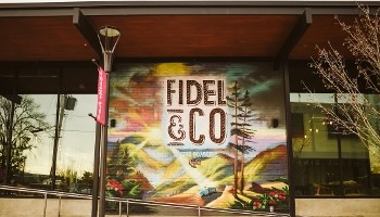 Fidel & Co.