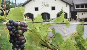 LaBelle Winery Amherst