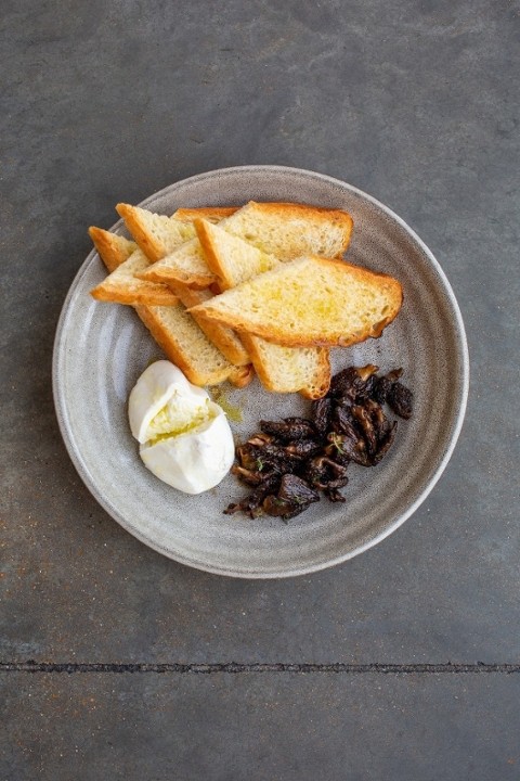 MOREL MUSHROOM  BURRATA