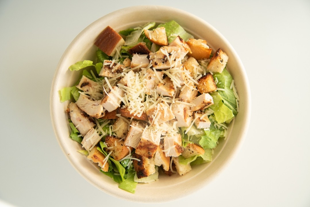 Grilled Chicken Caesar Salad