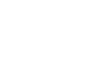 ABC Artisanal Burger Company