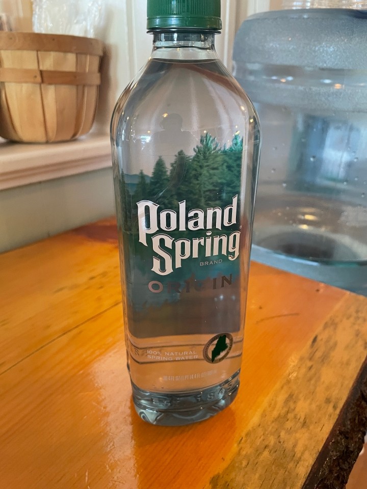 Poland Spring Origins Water (30.4 oz)