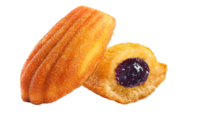 Blueberry Madeleine