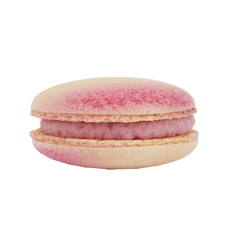 Rose Macaron