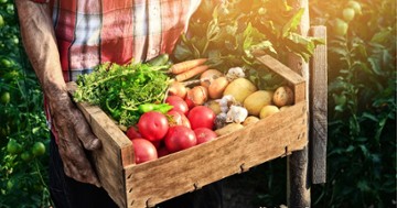 The Farmhouse Kitchen Organic Cafe & Juice Bar West Reading