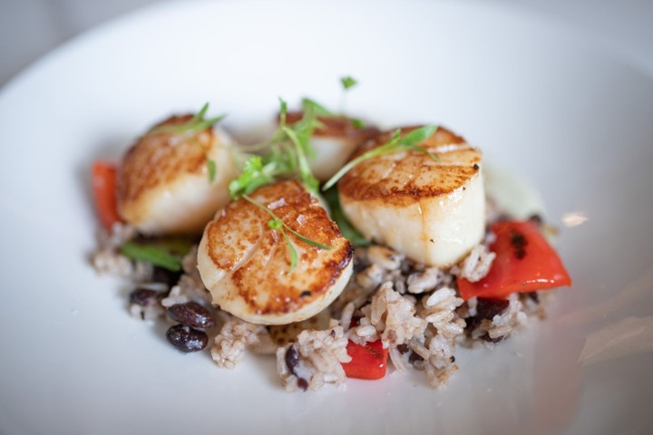 Pan Seared Scallops