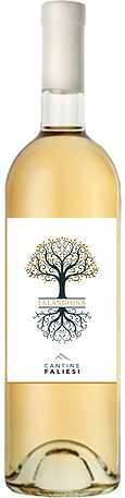 61 FALANGHINA BENEVENTANO'21 i.g.t. ,CANTINE FALIESI  Campania, Italy 13%