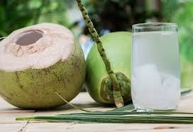 Coconut Water (In Coconut)