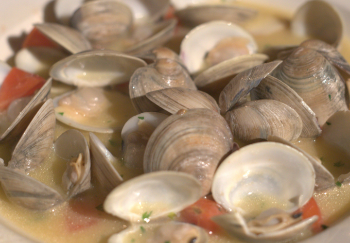 Clams