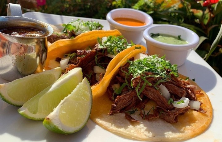 Birria Tacos