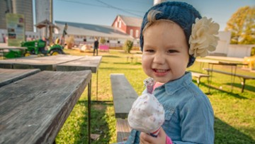 Young's Jersey Dairy