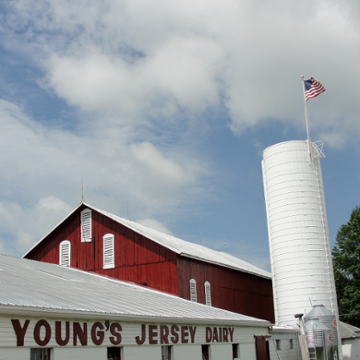 Young's Jersey Dairy - The Dairy Store 2