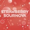 Almanac Strawberry Sournova (475ml)