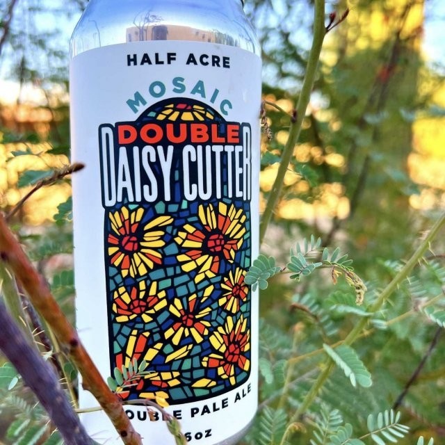 Daisy Cutter Chile Plants