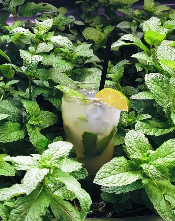 Mojito (To-Go)