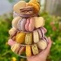 Assorted Macaron Box (12 pc)