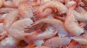 21-25 Shrimp (5 lb)