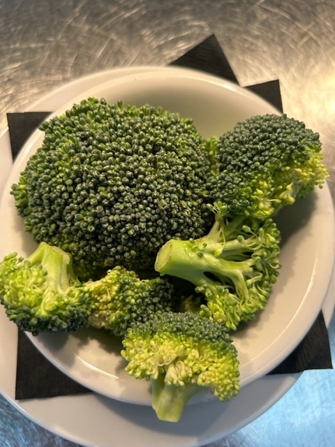 SD Broccoli