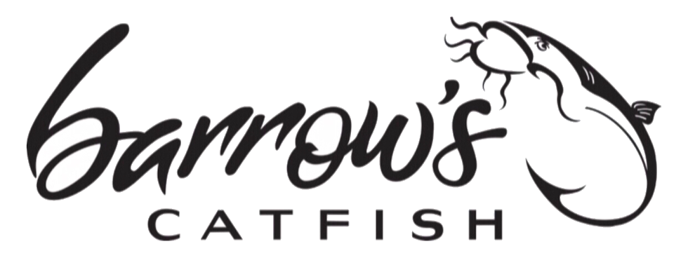 Barrow's Catfish Earhart