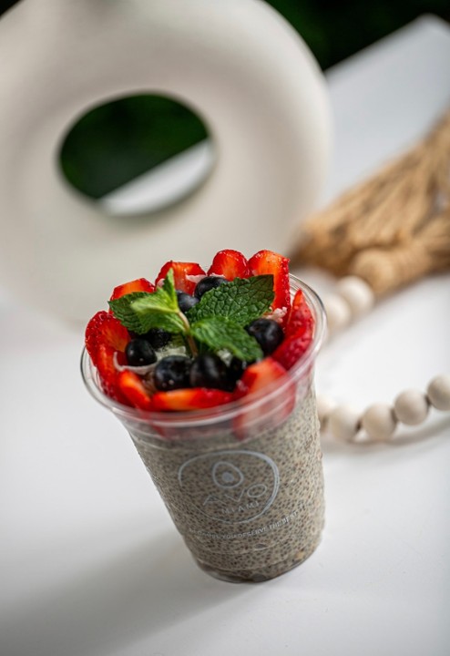 VEGAN, GLUTEN FREE CHIA SEED PROTEIN PUDDING