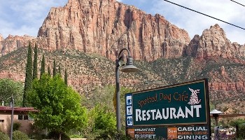 Spotted Dog 428 Zion Park Blvd