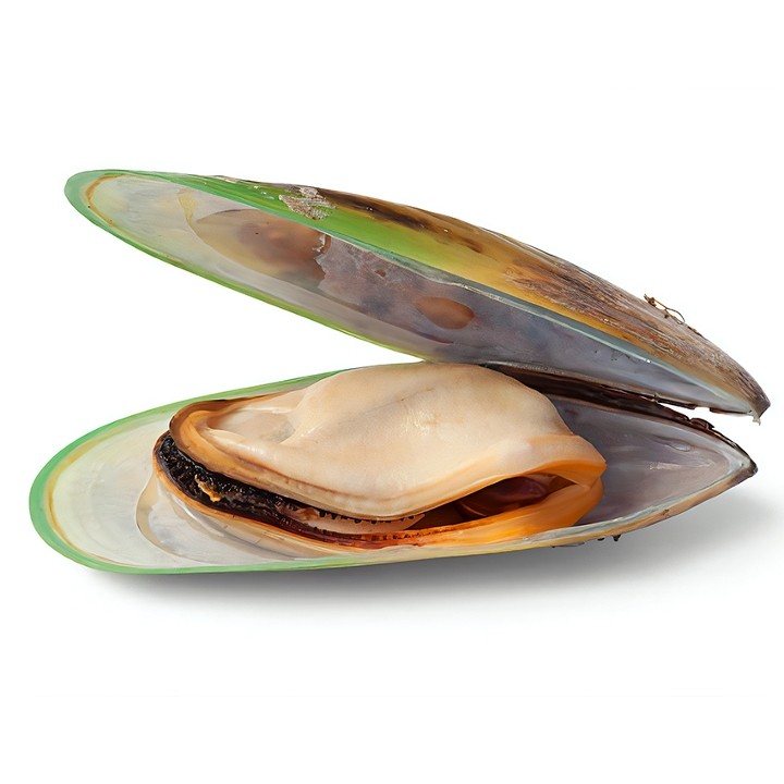 Green Mussels